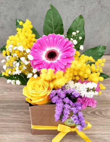 Composizione con mimosa e fiori misti 20 cm