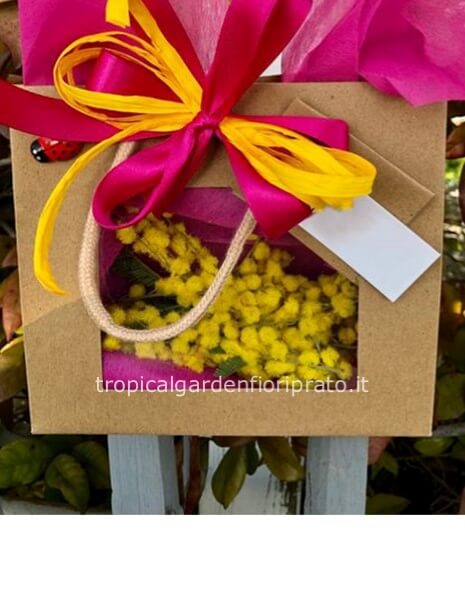 3 confezioni di mimosa bag , è possibile aumentare la quantità