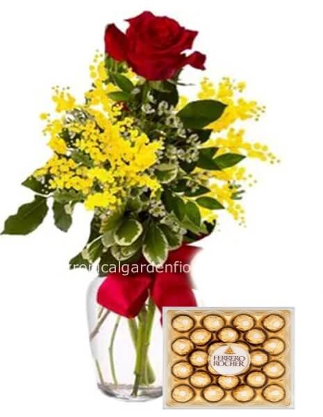 1 Rosa rossa extra a gambo lungo, mimosa e scatola cioccolatini