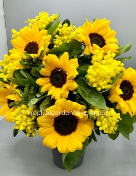 Bouquet di girasoli con mimosa