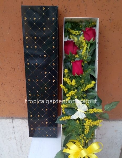 3 Rose rosse con mimosa- scatola elegante