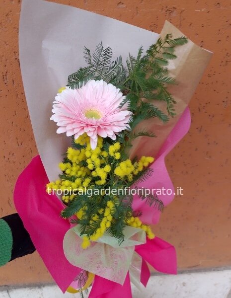 2 confezioni - gerbera con mimosa