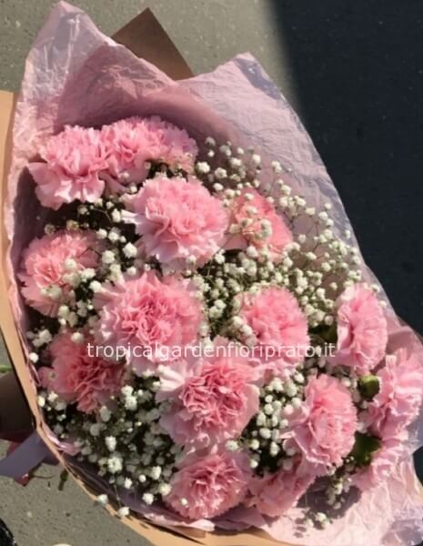 Bouquet essenziale garofani con gypsophila
