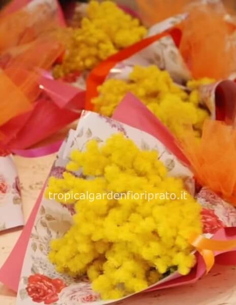 A partire da 3 Piccoli bouquet di mimosa