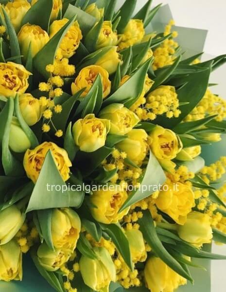 50 tulipani con mimosa