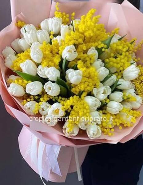 100 Tulipani con mimosa