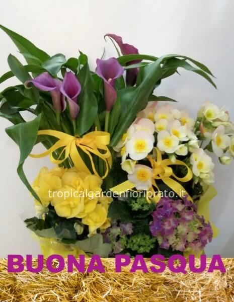 Composizione di piante pasquale grande