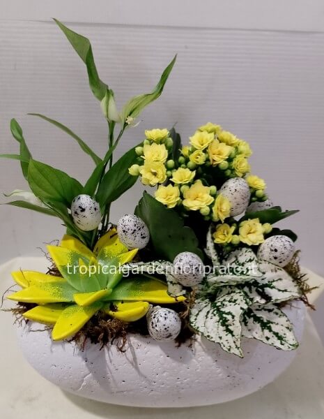 Composizione pasquale con piante e vaso in ceramica