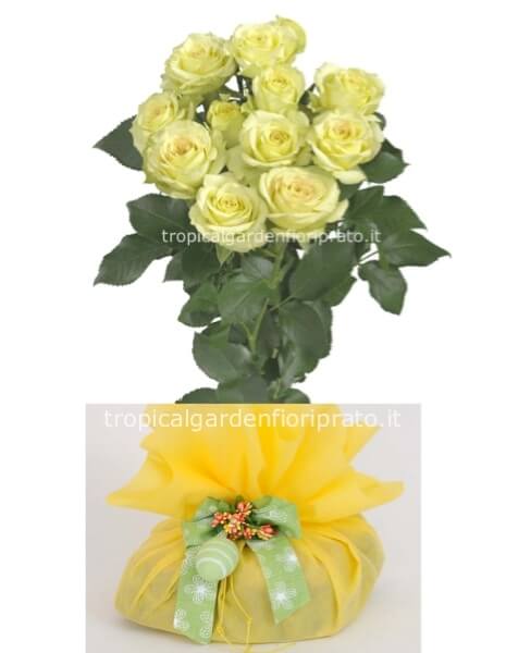 Rose a gambo lungo extra   e colomba  pasquale con confezione artigianale