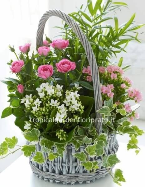 Composizione di piante verdi e fiorite con cestino o cassetta