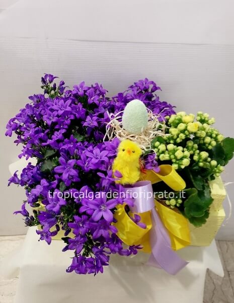 Composizione piante fiorite con vaso in pvc e confezione pasquale