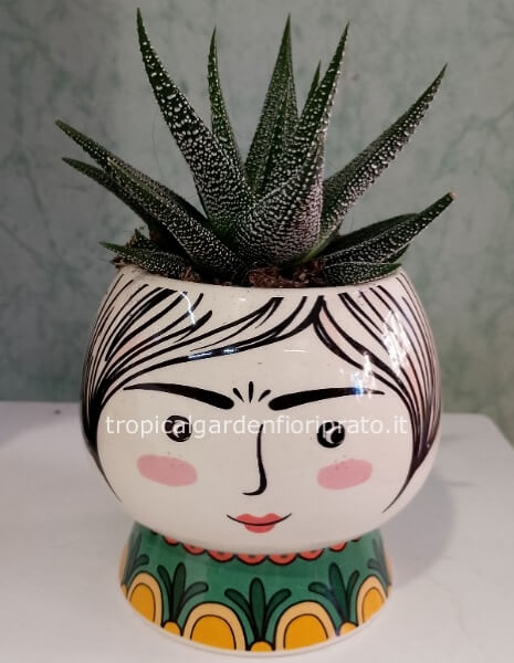 Figura testa con pianta