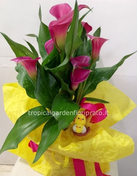 Pianta calla con confezione pasquale