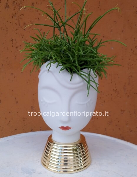 Figura donna con pianta