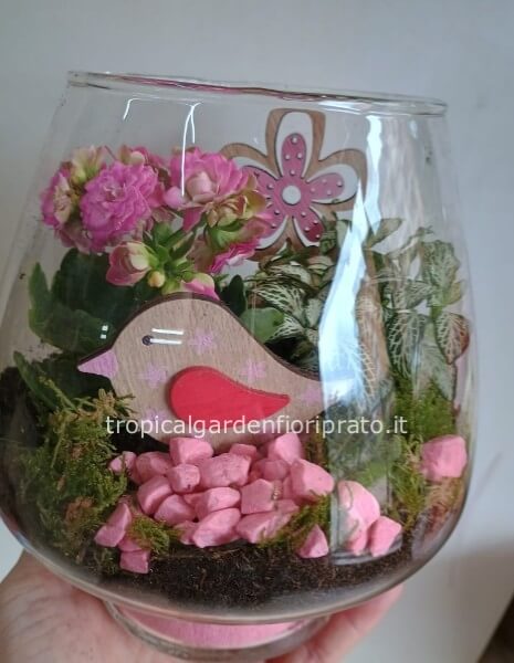 Composizione di piante in vaso di vetro
