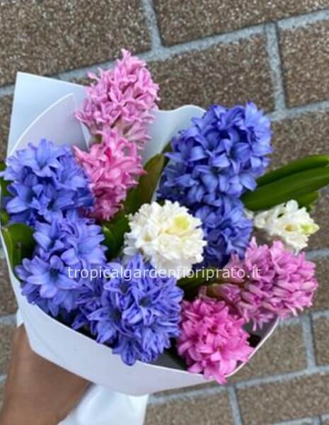 Bouquet essenziale di giacinti