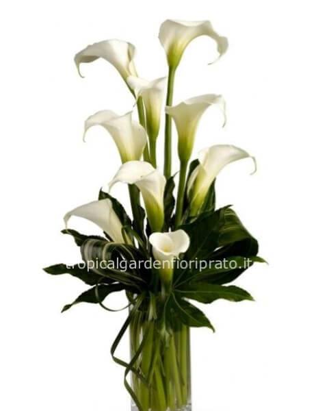 	 Mazzo essenziale  di calle