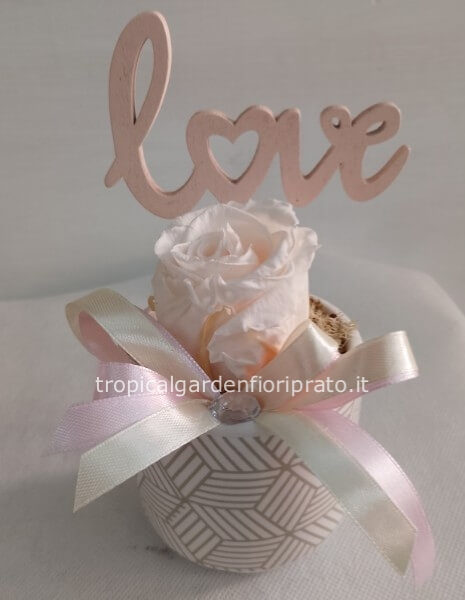 Rosa rosa L stabilizzata con vasetto ceramica 