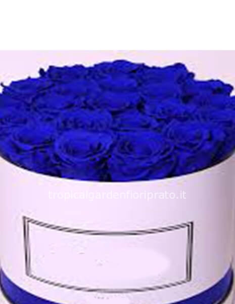Rose blu xl stabilizzate profumate  con scatola