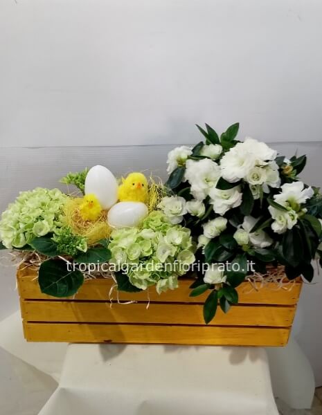 Cassetta con piante fiorite per Pasqua , colore bianco e verde