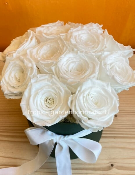 Rose bianche XL stabilizzate profumate con scatola