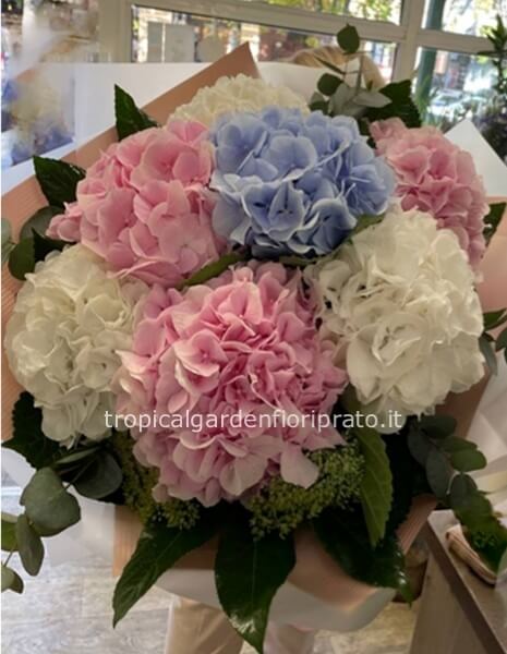 Bouquet di ortensie