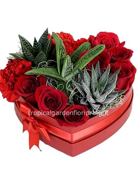 Cuore fantasia