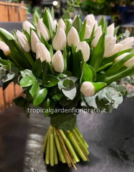 Bouquet essenziale di tulipani bianchi