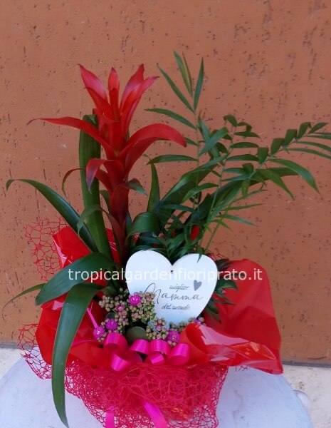 Composizione piante Festa della Mamma 