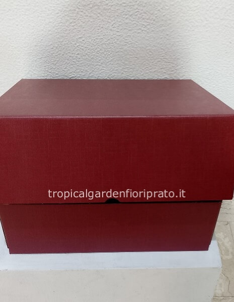 Scatola elegante per coroncina laurea