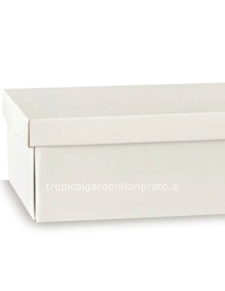 Scatola bianca per coroncina laurea