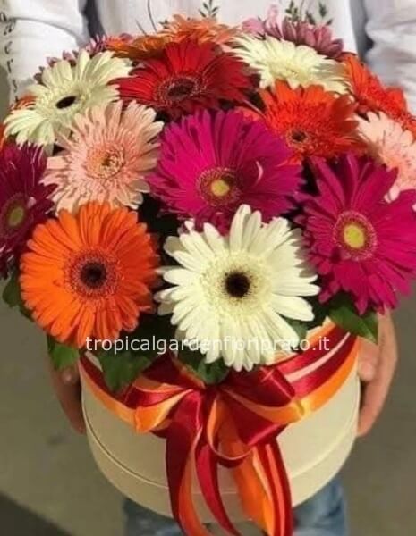 Cappelliera con 7 gerbere