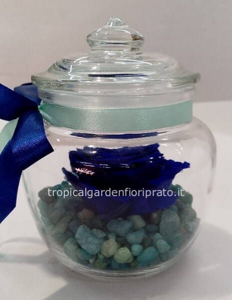 Rosa blu XL stabilizzata con vaso di vetro coperto