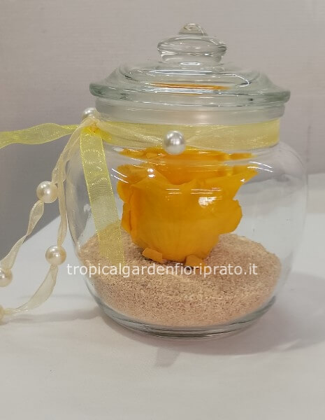 Rosa gialla XL stabilizzata con vaso di vetro coperto 