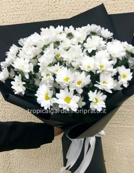 Bouquet di margherite bianche con carta nera