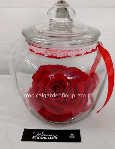 Rosa rossa XXL stabilizzata profumata  con vaso di vetro coperto