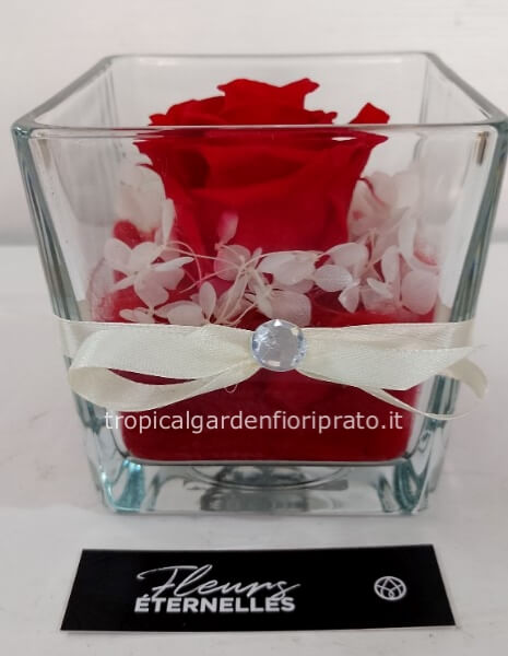 Rosa rossa XL stabilizzata con cubo di vetro