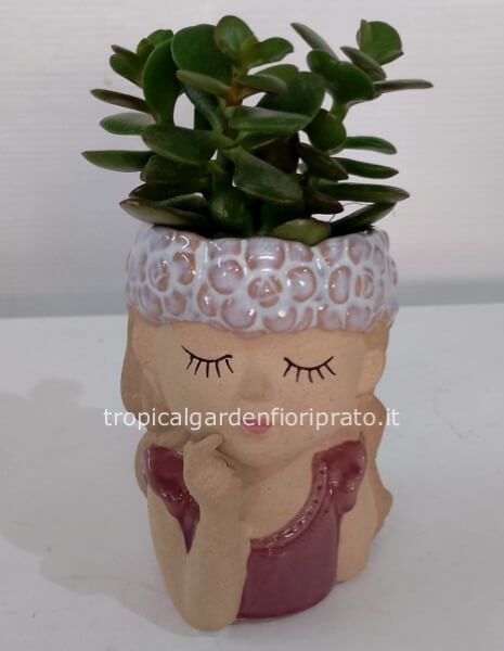 Figura fatina con pianta grassa 