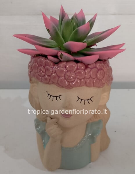 Figura fatina con pianta grassa colorata 