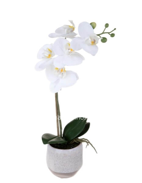 Pianta orchidea con 1 phalenopsis artificiale con vaso