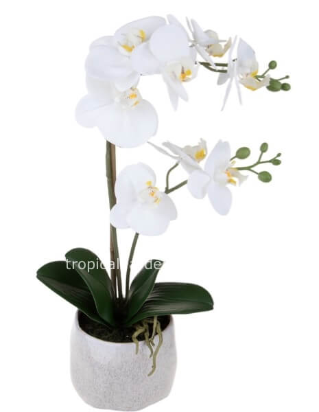 Pianta con 2 orchidee phalenopsis artificiale e vaso