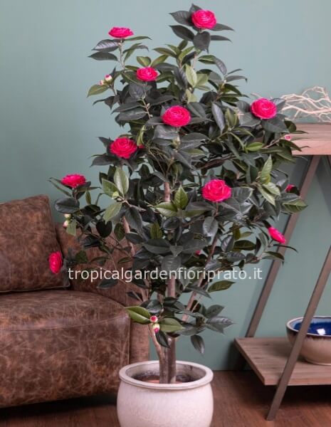 Pianta artificiale albero camelia