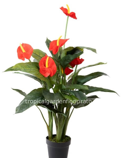 Pianta finta artificiale anthurium