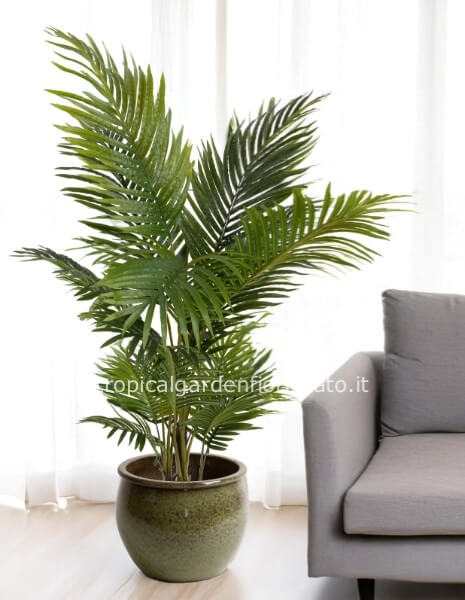 ARECA X 5 REAL TOUCH 145 CM