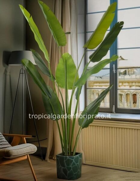 Pianta artificiale STERLIZIA REAL TOUCH, altezza 180 cm diametro 60 cm