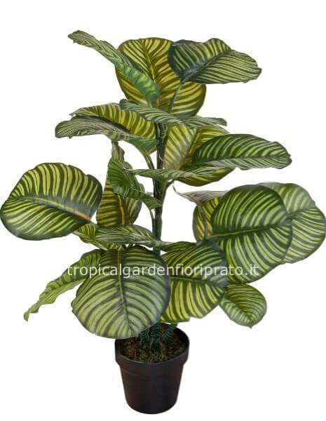 Pianta artificiale CALATHEA