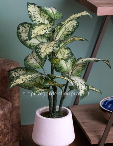 Pianta artificiale Anglaonema