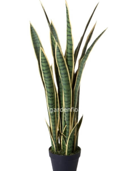 Pianta artificiale Sanseveria