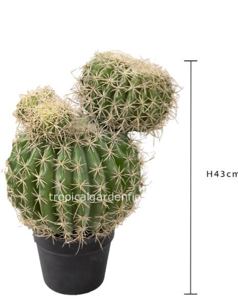 Pianta grassa artificiale ECHINO CACTUS