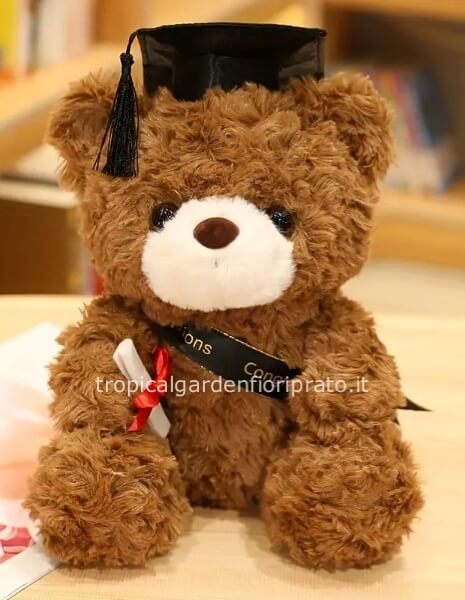 Peluche orso teddy per Laurea